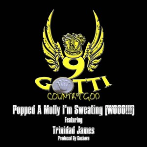 9Gotti Popped a Molly I'm Sweating Cover